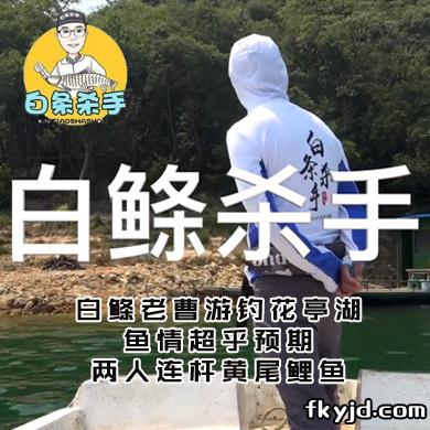 白条杀手 白鲦老曹游钓花亭湖，鱼情超乎预期，两人连杆黄尾鲤鱼