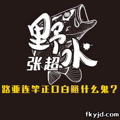 野水张超 路亚连竿正口白鲢什么鬼？