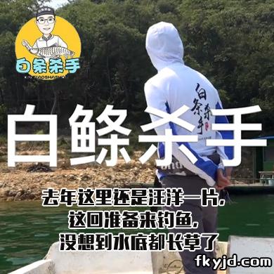 白条杀手 去年这里还是汪洋一片，这回准备来钓鱼，没想到水底都长草了