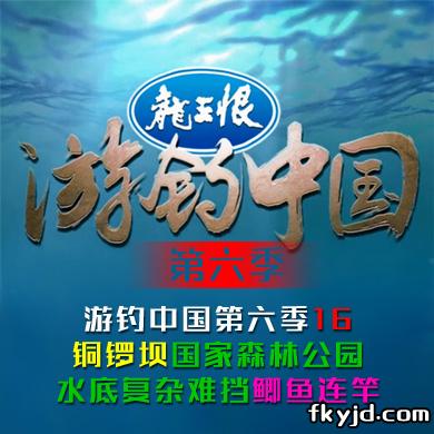 《游钓中国第六季》第16集 铜锣坝国家森林公园 水底复杂难挡鲫鱼连竿