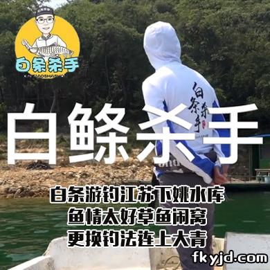 白条杀手 白条游钓江苏下姚水库，鱼情太好草鱼闹窝，更换钓法连上大青