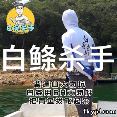 白条杀手 紫蓬山大物坑，白条用6H大物杆，把青鱼拔飞起来