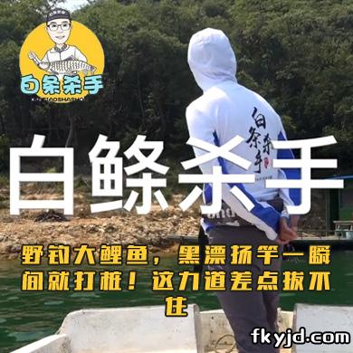 白条杀手 野钓大鲤鱼，黑漂扬竿一瞬间就打桩！这力道差点拔不住