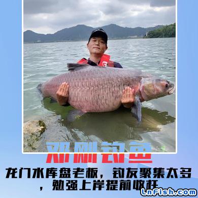 邓刚钓鱼 龙门水库盘老板，钓友聚集太多，勉强上岸提前收杆