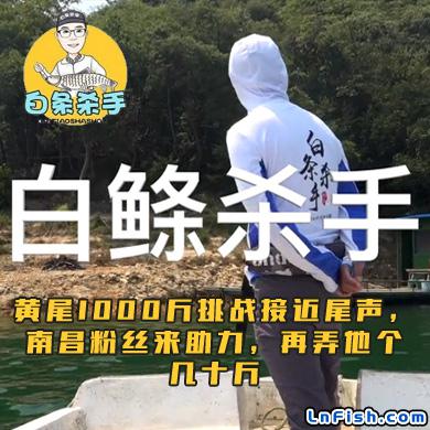 白条杀手 黄尾1000斤挑战接近尾声，南昌粉丝来助力，再弄他个几十斤