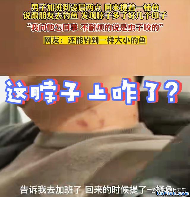 沈阳一男子半夜回家谎称去钓鱼，脖子有个草莓印，网友：好事败露了