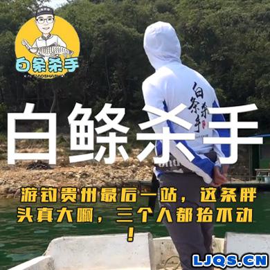 白条杀手 游钓贵州最后一站，这条胖头真大啊，三个人都抬不动！